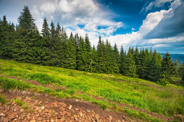 Peak of the Harghita Mountain