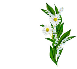 Fototapeta na wymiar daisies summer flower isolated on white background.