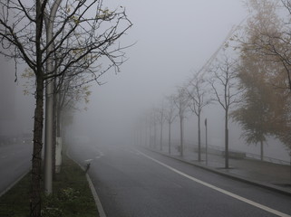 Straße im Nebel