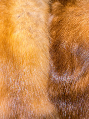 The Fur texture.