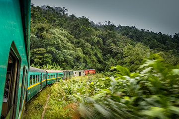 Tropical train going through the jungle