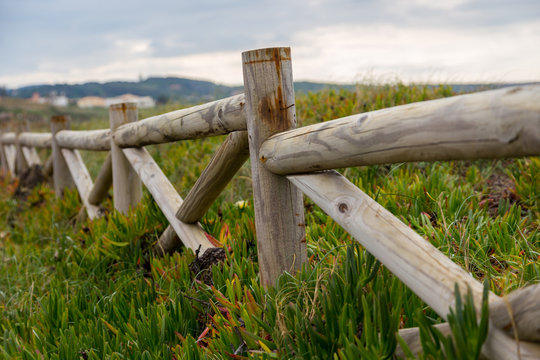 landscape coastline with wooden fance and plants