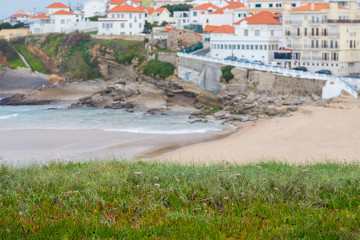 Fototapeta na wymiar coastline with stones, plants and surfs in cloudy day