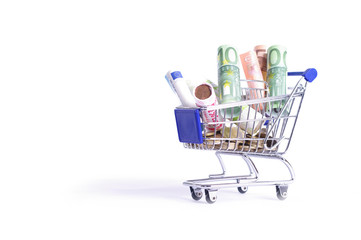 Einkaufswagen mit Geld, Shopping