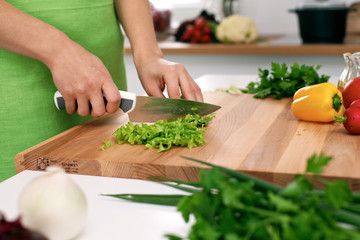 Close up of  woman's hands cooking in the kitchen. Housewife slicing ​​fresh salad. Vegetarian and healthily cooking concept