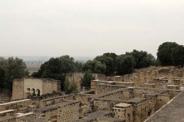 old ruins wall