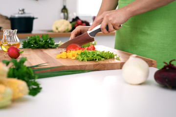 Close up of  woman's hands cooking in the kitchen. Housewife slicing ​​fresh salad. Vegetarian and healthily cooking concept