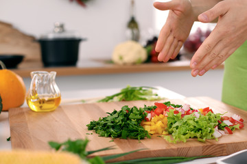 Obraz na płótnie Canvas Close up of woman's hands cooking in the kitchen. Housewife offering ​​fresh salad. Vegetarian and healthily cooking concept