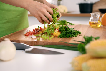 Close up of  woman's hands cooking in the kitchen. Housewife slicing ​​fresh salad. Vegetarian and healthily cooking concept