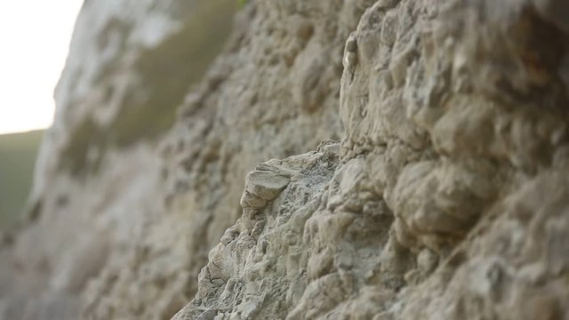 White limestone of the Jurassic Coast of England