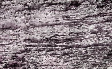 Obraz premium old wood texture