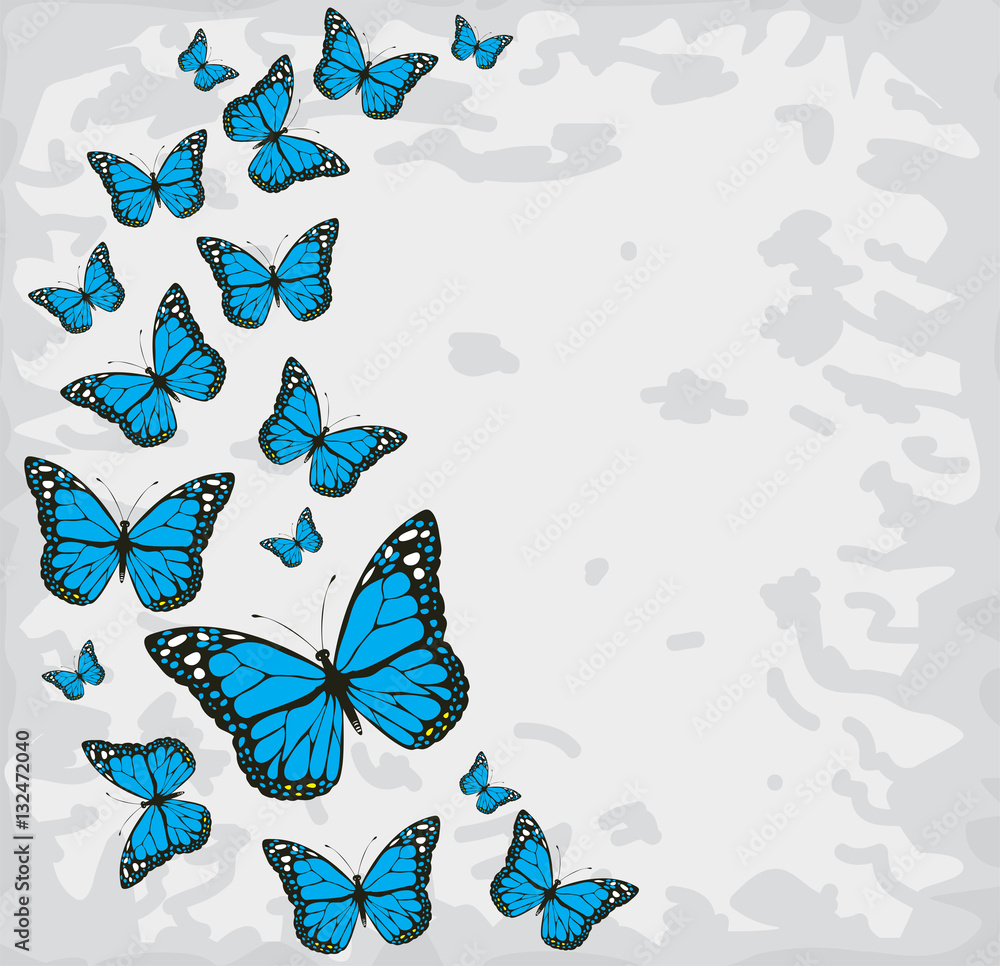 Canvas Prints vector vintage butterflies