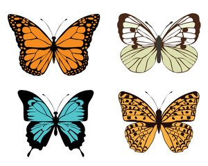 Fototapeta na wymiar vector vintage butterflies