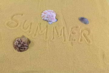  Word summer and seashells on the yellow beach sand