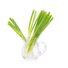 Green onion isolated on the white background.
