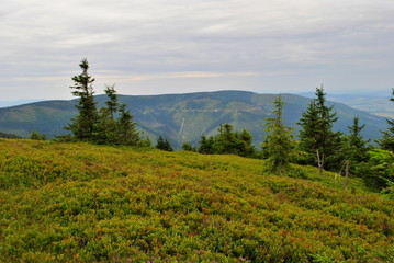 Górski pejzaż w Sudetach © bnorbert3