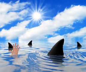 Obraz premium Sharks circling drowning man