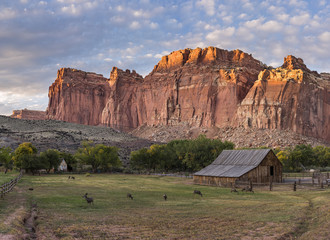 Fruits Campground, Capital Reef National Park