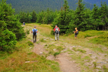Grupa turystów na górskim szlaku w Sudetach