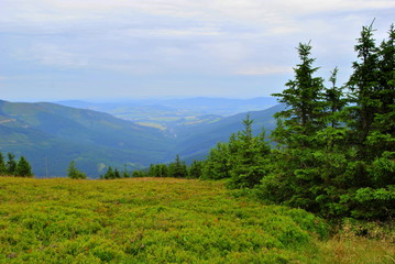 Pejzaż górski widziany ze Śnieżnika © bnorbert3
