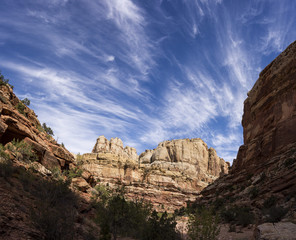 Fototapeta premium Cassidy Arch Trail
