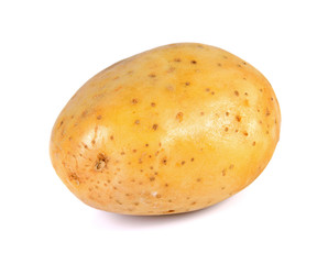 potato isolated on white background