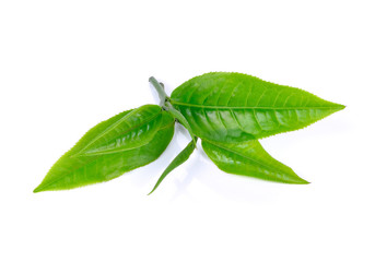 Obraz premium tea leaf isolated on white background