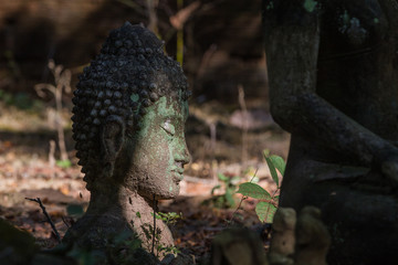 Ancienne statue bouddhiste, tête de Bouddha, relique et vestige bouddhistes, Wat Umong, Chiang Mai, Thailande