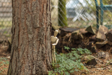 Wooden mannequin study