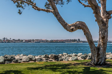 Obraz premium View of city of Coronado and San Diego bay, as seen from Embarcadero Park South in San Diego, California.