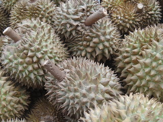 Plakat Durian
