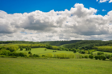 Spring Summer Rural landscape with a forest and a fileld in Fran