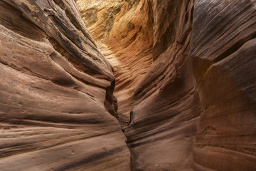 Little Wild Horse Slot Canyon in Utah