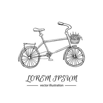 Hand drawn doodle vector illustration of Bicycle with flower basket. Love and Feelings symbol. Vector illustration. Sketchy icon for Valentine's day, Mothers day, wedding, love and romantic events.