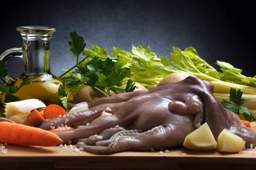 Octopus vulgaris Gewone seekat Obična hobotnica Közönséges polip Pulpo أخطبوط شائع Ośmiornica zwyczajna Polpo Pieuvre Осьминог обыкновенный Poulpe Gewöhnlicher Krake 普通章魚 Polpi תמנון החוף © Comugnero Silvana