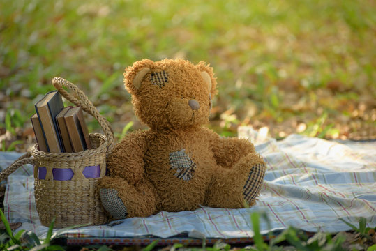 Teddy bear with books in the garden