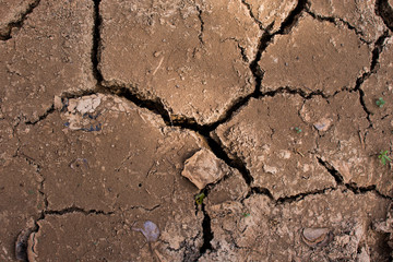 Cracked clay ground into the dry season.