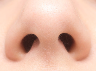 human nose - obrazy, fototapety, plakaty