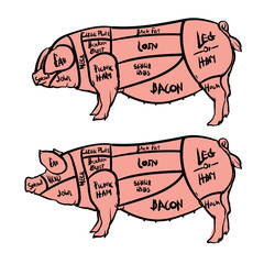 Cut of meat set, Pig isolated, Drawing Vector illustration.
