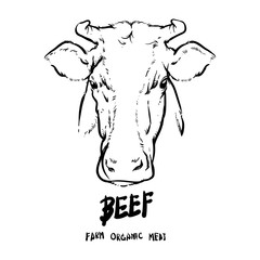 Hand drawn Cows head outline, Beef organic meat vector.