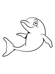 Obraz premium Delfin witty sweet