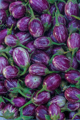 Fototapeta na wymiar Eggplant background