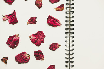 Press dried rose flower petals, on note book page, with copy space, vintage tone