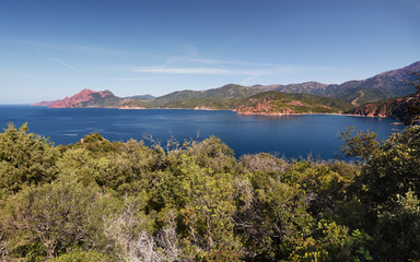 View of Porto Gulf in Corsica from Calanques de Piana