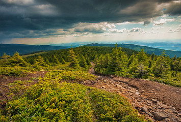 Peak of the Harghita Mountain