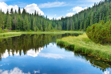 Fototapeta na wymiar Blue water in a forest lake