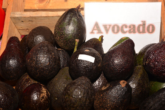 group of avocado from the farm for sell