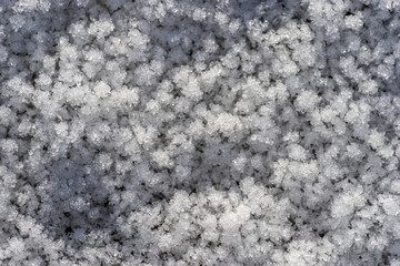 Snow texture
