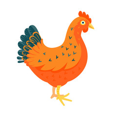 Red chicken funny vector illustration cartoon style