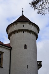 Obraz premium Architecture from Konopiste castle and cloudy sky